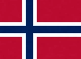 Team Norway Flag