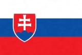 Team Slovakia Flag