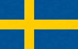 Team Sweden Flag