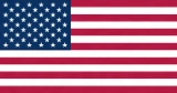 Team USA Flag